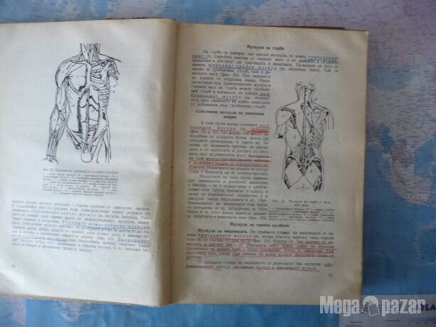 Анатомия и физиология на човека Тошо Гоцев двигателен апарат кръвоносна система